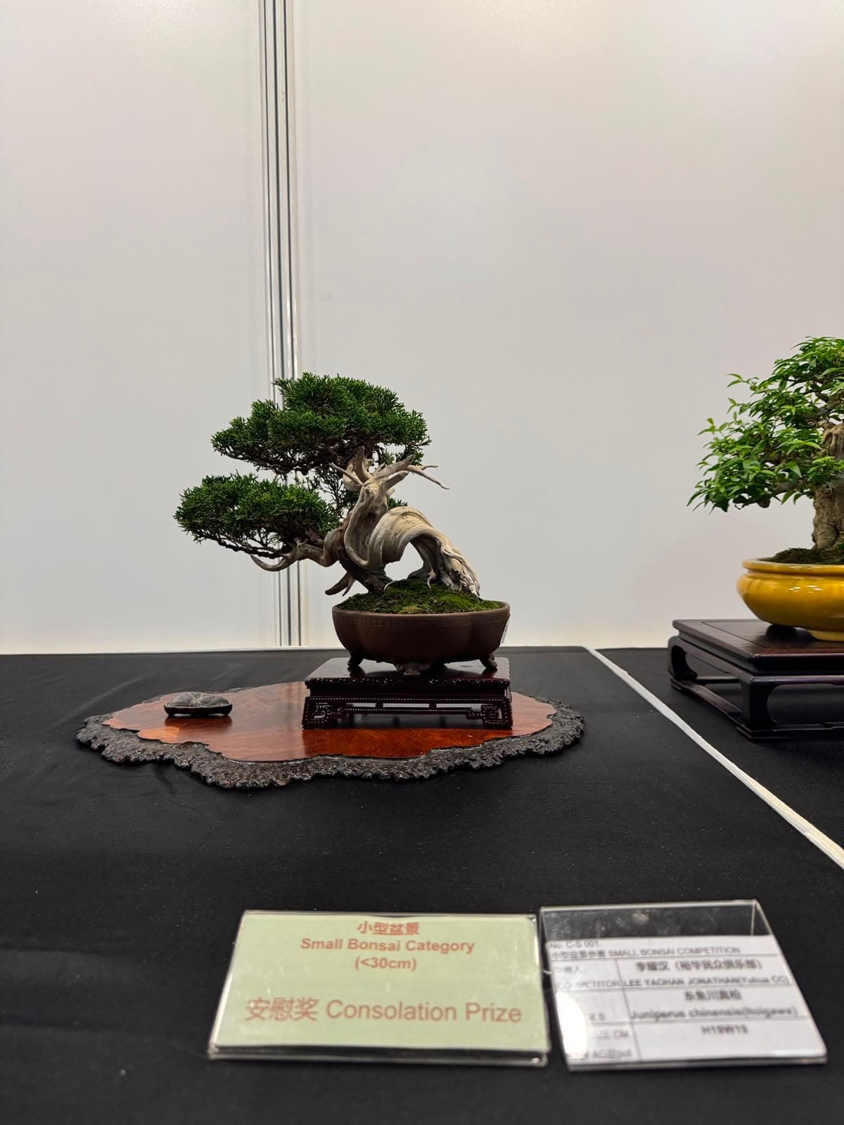 Award card beside the Itoigawa shimpaku