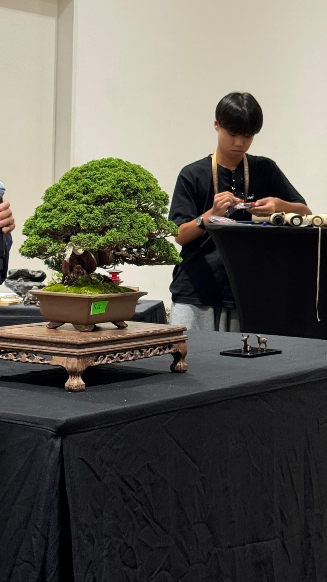 Reflections on the MBSS Exhibition & Workshops – A Public Visitor’s Perspective — gallery image