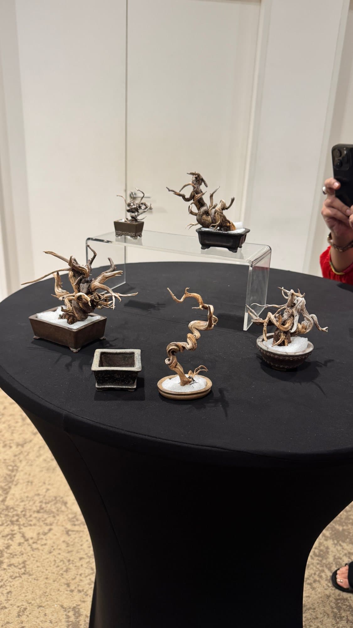 Reflections on the MBSS Exhibition & Workshops – A Public Visitor’s Perspective — gallery image